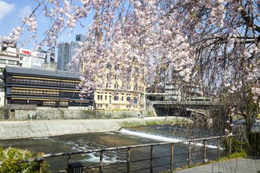 Kyoto, Japonya sokak görünümü