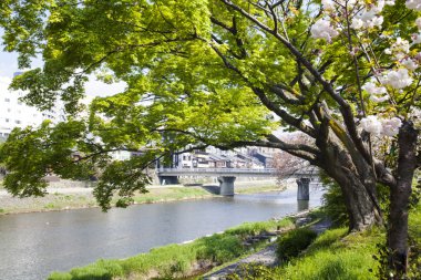 Kyoto, Japonya sokak görünümü