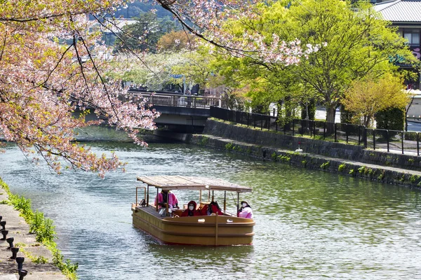 Japans heian shrine cherry — Stockfoto