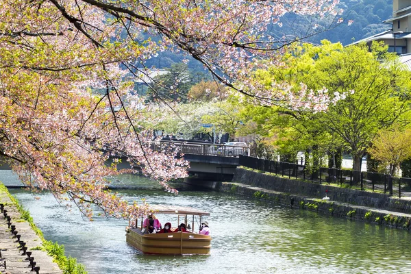 Japan de Heian heiligdom cherry — Stockfoto