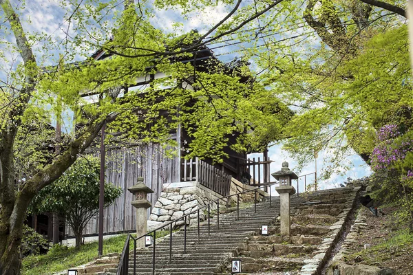 Nice temple with sakura — Stock Photo, Image