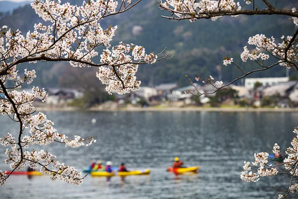 Haijin Osaki Sakura — Stok fotoğraf
