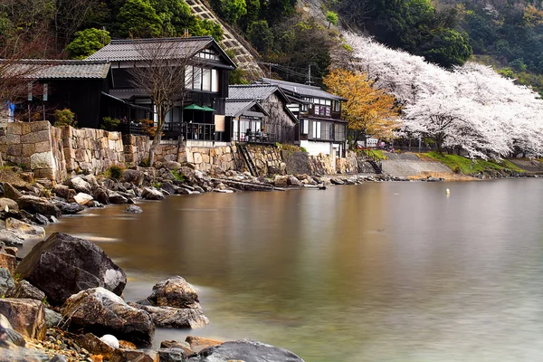 Haijin Osaki Sakura — Stok fotoğraf