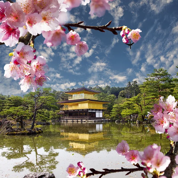 Gold temple japan — Stock Photo, Image