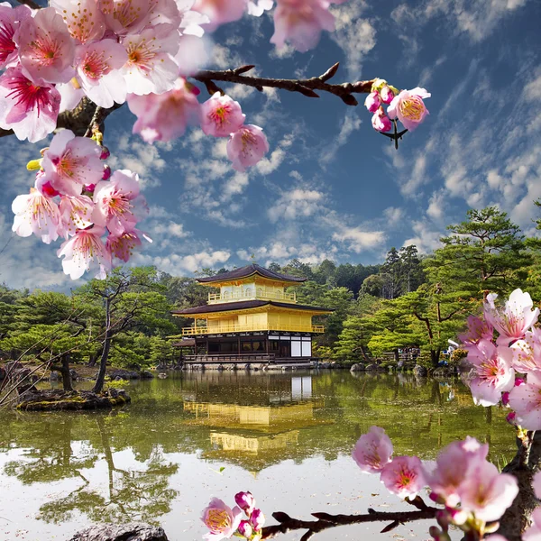 Templo de ouro japão — Fotografia de Stock