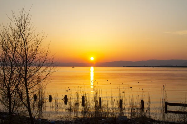 Pôr do sol bonito para o uso da finalidade do adv ou outro — Fotografia de Stock