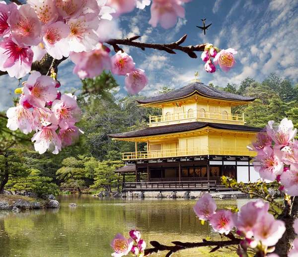 Gold temple japan — Stock Photo, Image