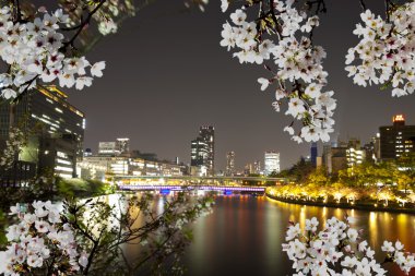 osaka City gece görünümü
