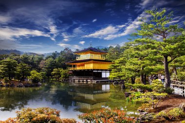 altın rengi Tapınağı ile güzel sakura
