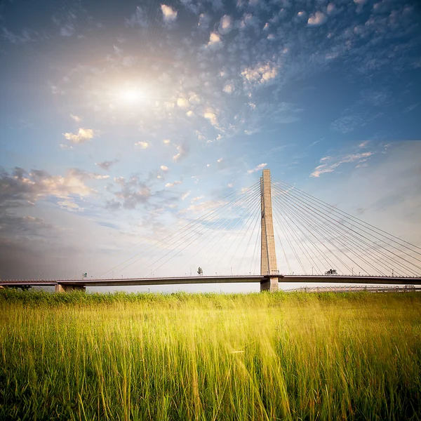 Eine moderne neonbeleuchtete Brücke in der Nacht — Stockfoto