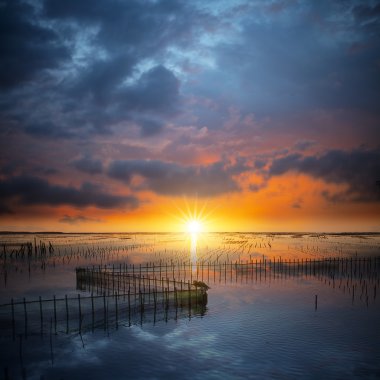 Deniz tabanı Tainan gece manzarası