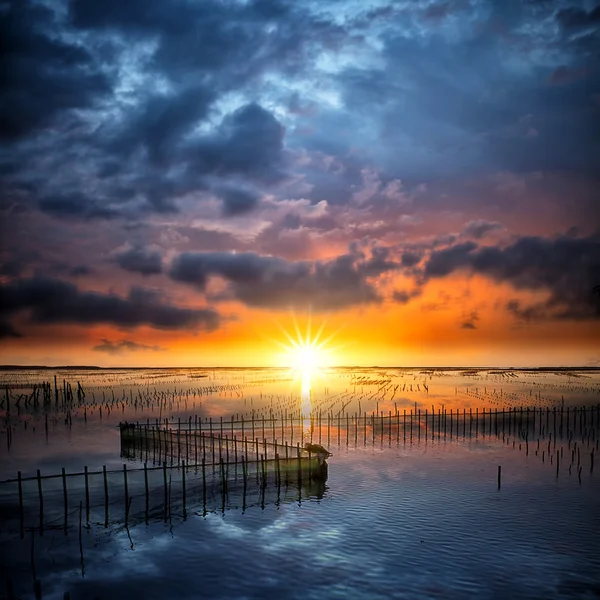 Deniz tabanı Tainan gece manzarası — Stok fotoğraf