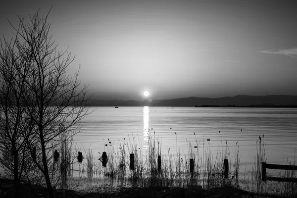 Imagen en blanco y negro de una playa — Foto de Stock