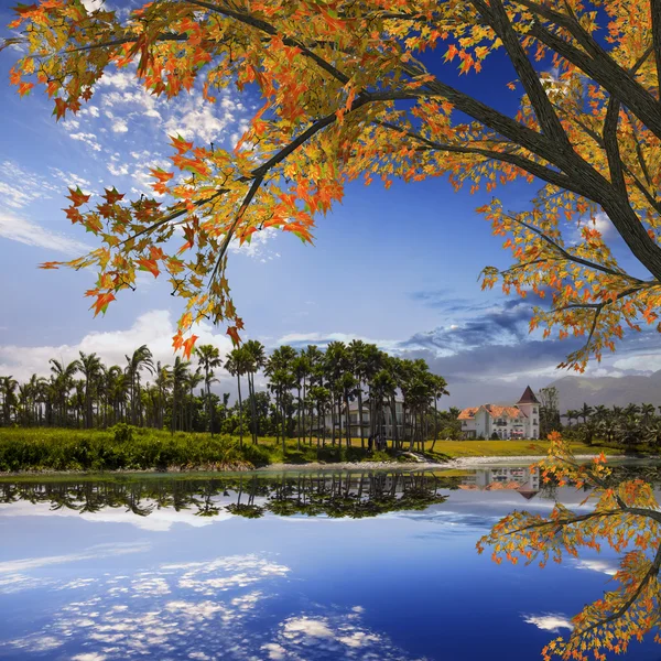 Прекрасне озеро з гарним кленовим — стокове фото