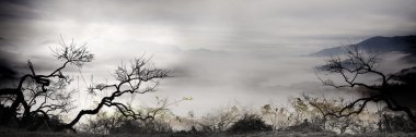 Sunset ve baobabs ağaçlar