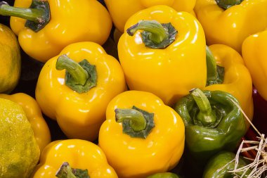 taze tatlı biber hasat