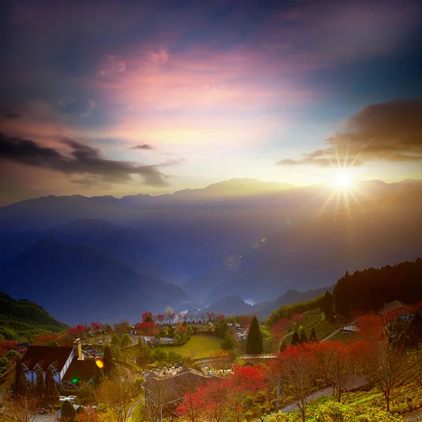 Soluppgång i berg med sakura — Stockfoto