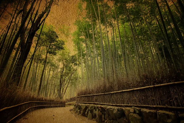 Velho estilo de bambu — Fotografia de Stock