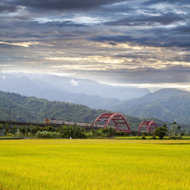 Çeltik alan güzel köprü ile sabah