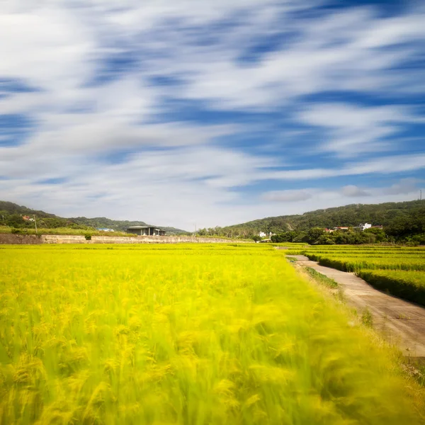 Prachtig landschap — Stockfoto