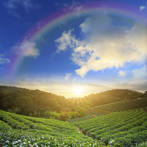 Hermoso lugar con buen arco iris — Foto de Stock