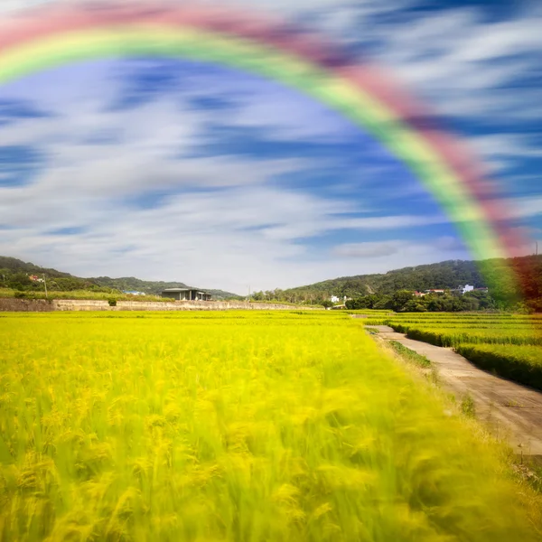 Schöner Ort mit schönem Regenbogen — Stockfoto