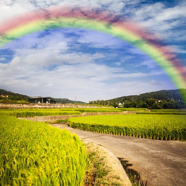 Bellissimo posto con bel arcobaleno — Foto Stock