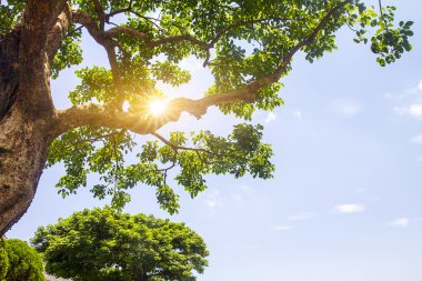 sabah altında peyzaj dağlar