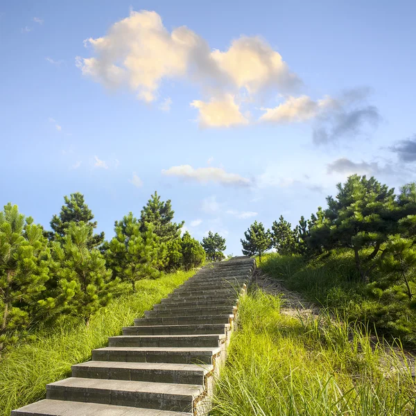 Berglandschaft im Morgengrauen — Stockfoto