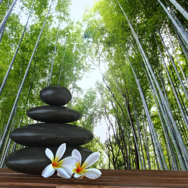 Zen basalt stones and bamboo — Stock Photo, Image