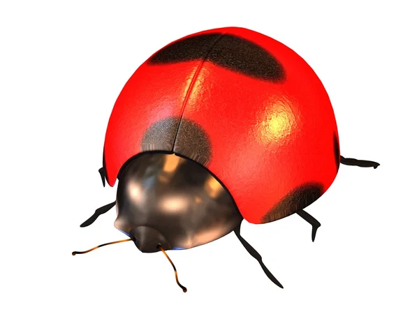 Coccinella con un bel background — Foto Stock