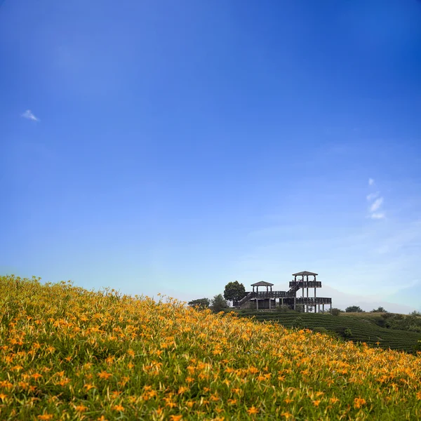 Fiore di giglio — Foto Stock