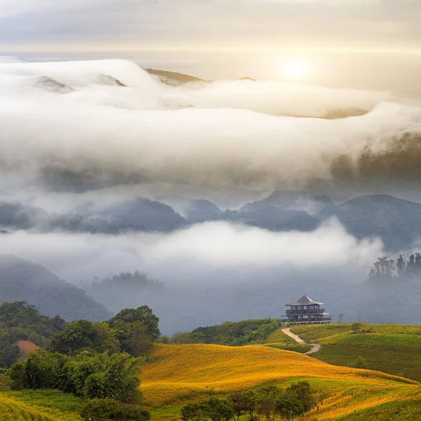 Schöne Landschaft — Stockfoto