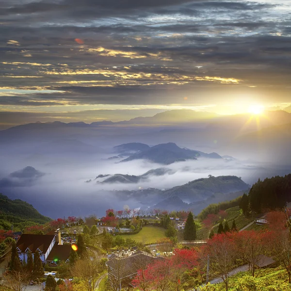 Schöne Landschaft — Stockfoto