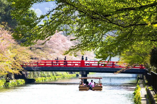 Sakura in kyoto japan — Stockfoto