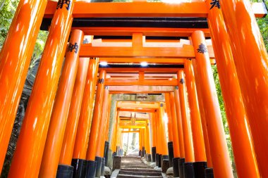 Fushimi Inari taisha tapınak - kyoto