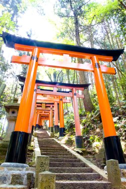 Fushimi Inari taisha tapınak - kyoto