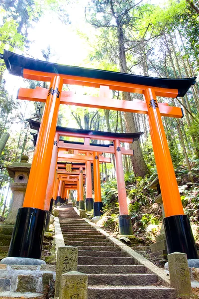 Santuario de Fushimi Inari Taisha - Kioto —  Fotos de Stock