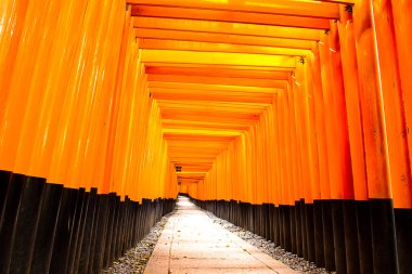 Fushimi Inari taisha tapınak - kyoto