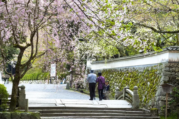 Sawha in kyoto fashan — стоковое фото