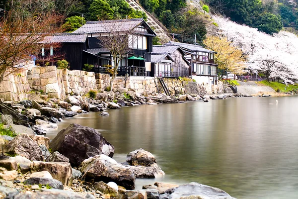 Prachtig meer met sakura — Stok fotoğraf