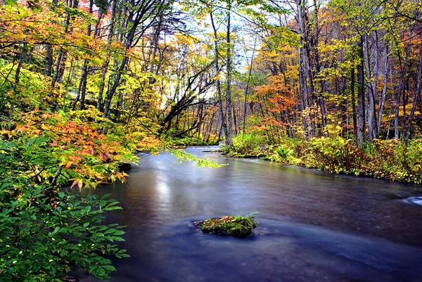 A Oirase-patak őszi színek — Stock Fotó