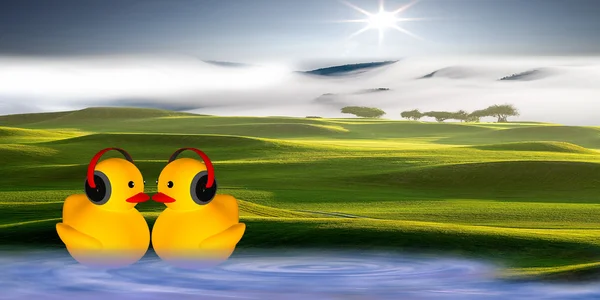 Duck listing music — Stock Photo, Image