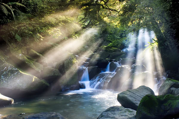 Mountain stream — Stock Photo, Image