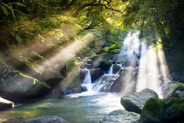 Mountain stream — Stock Photo, Image