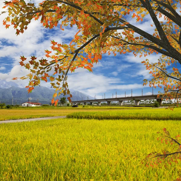 Landschaft für adv oder andere Zwecke — Stockfoto