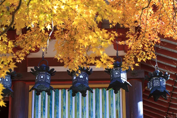 Sonbahar bir Japon bahçesi ile akçaağaç — Stok fotoğraf