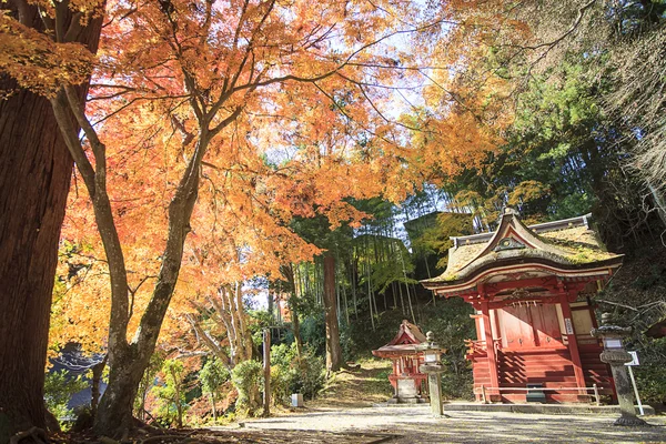 枫叶秋日式庭园 — 图库照片