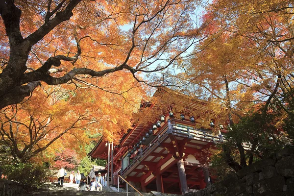 談山神社 — ストック写真