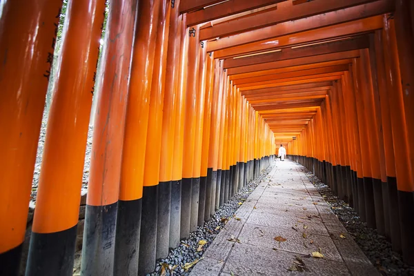 Otoño jardín japonés — Foto de Stock